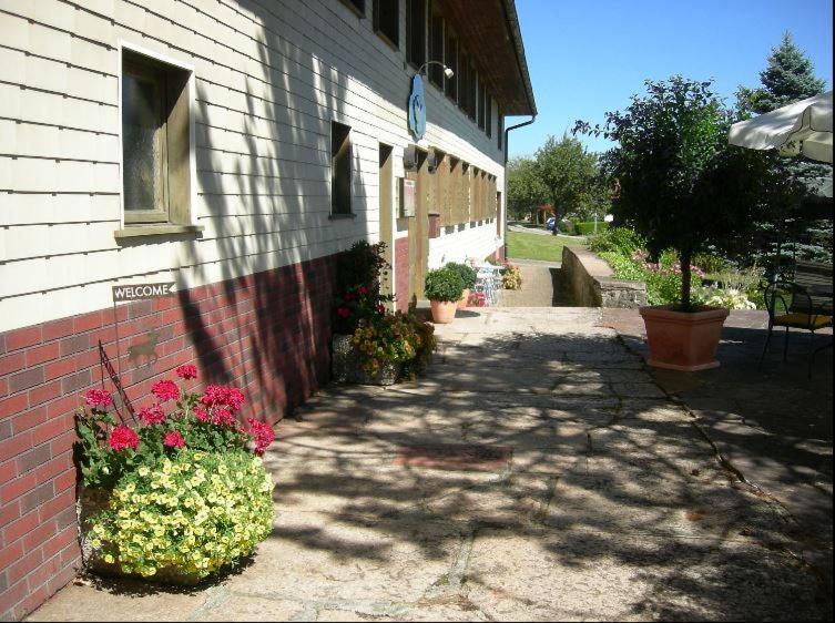 Pension Adler Bannholz Bagian luar foto
